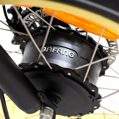 DWMEIGI Silverado 20 48V/14AH 750W Foldable Fat Tire Electric Trike, 330LBS - MG2301 96817362
