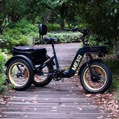 DWMEIGI Silverado 20 48V/14AH 750W Foldable Fat Tire Electric Trike, 330LBS - MG2301 96817362