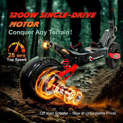 Off Road Electric Scooter For Adults, 1200W, 11 in Tires, 330 lb Load - GT06