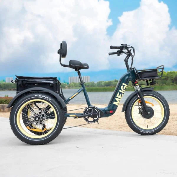 DWMEIGI Silverado 20 48V/14AH 750W Foldable Fat Tire Electric Trike, 330LBS - MG2301 96817362