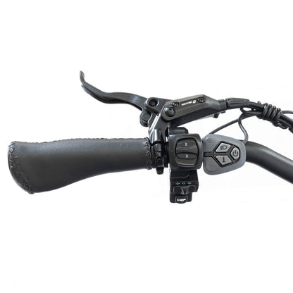 DWMEIGI Silverado 20 48V/14AH 750W Foldable Fat Tire Electric Trike, 330LBS - MG2301 96817362