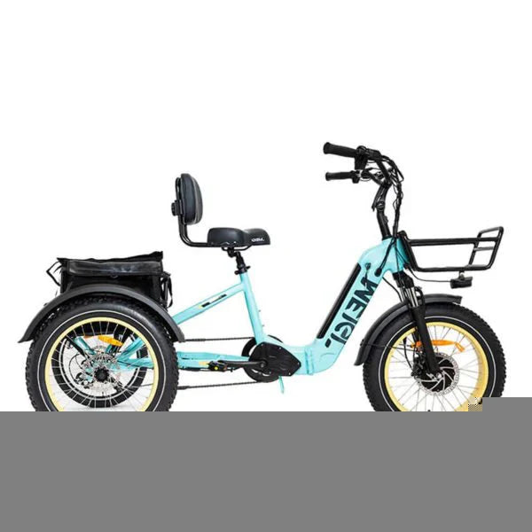 DWMEIGI Silverado 20 48V/14AH 750W Foldable Fat Tire Electric Trike, 330LBS - MG2301 96817362