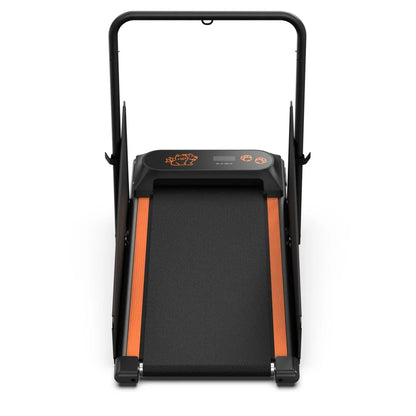 Dog Treadmill For Small And Medium Dogs - W215P235106